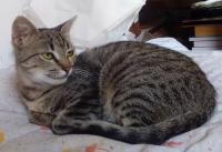 Polly4.jpg