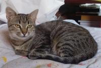 Polly5.jpg